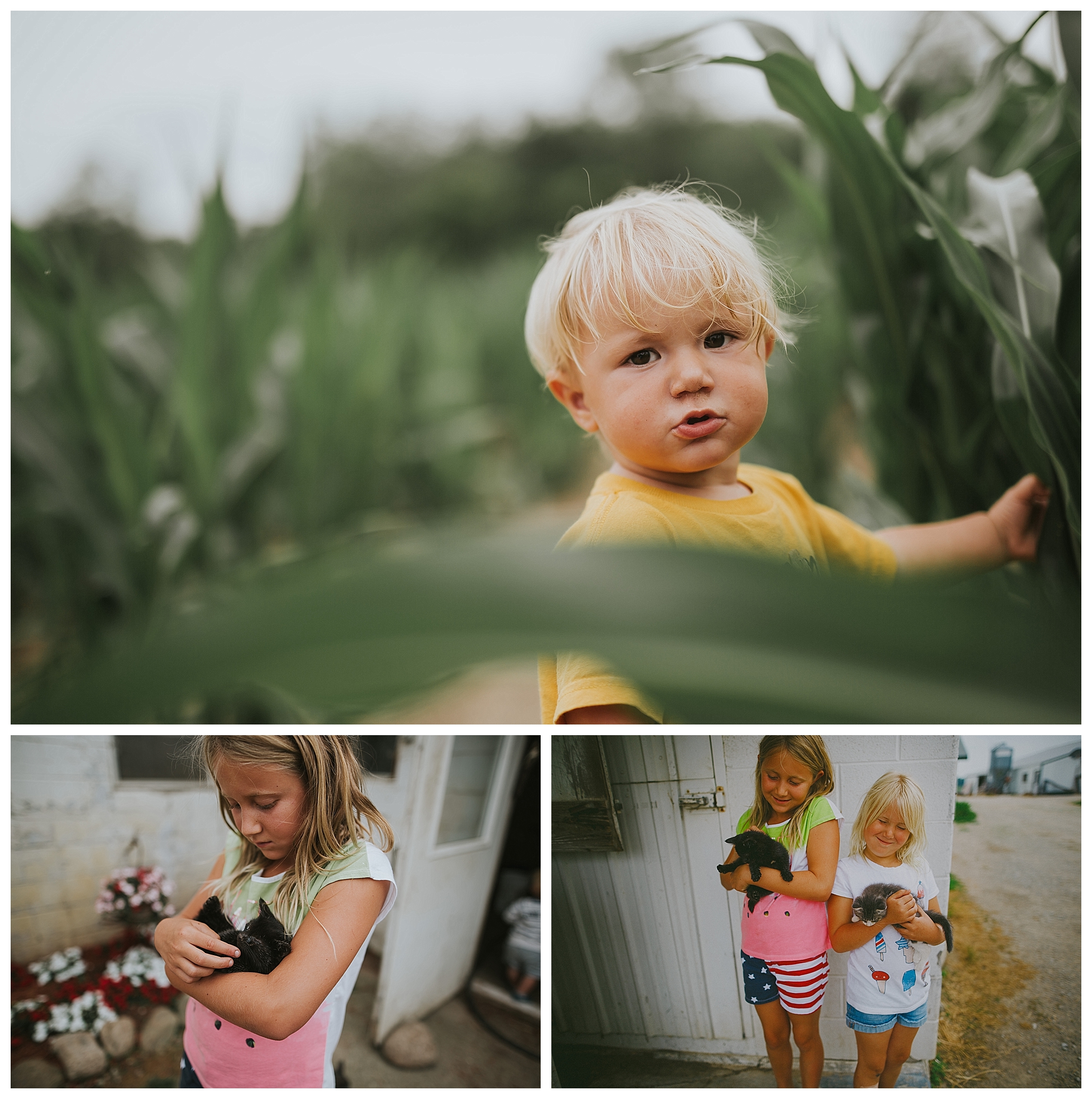 Orange County summer photography Orange County summer photography